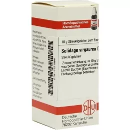 SOLIDAGO VIRGAUREA D 3 bolletjes, 10 g