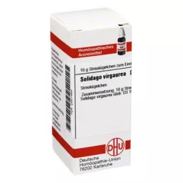 SOLIDAGO VIRGAUREA D 3 bolletjes, 10 g