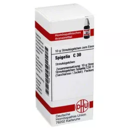 SPIGELIA C 30 bolletjes, 10 g