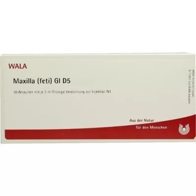 MAXILLA foeti GL D 5 ampullen, 10X1 ml