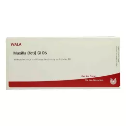 MAXILLA foeti GL D 5 ampullen, 10X1 ml