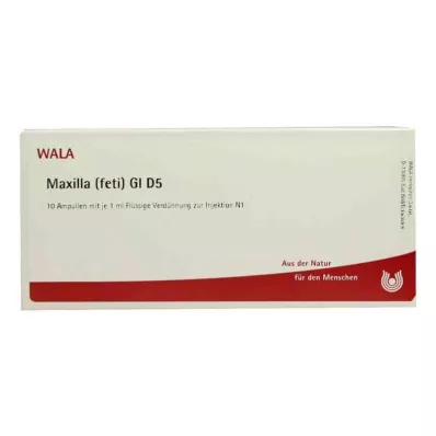 MAXILLA foeti GL D 5 ampullen, 10X1 ml MAXILLA foeti GL D 5 ampullen, 10X1 ml