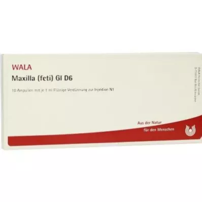 MAXILLA foeti GL D 6 ampullen, 10X1 ml MAXILLA foeti GL D 6 ampullen, 10X1 ml