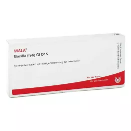 MAXILLA foeti GL D 15 ampullen, 10X1 ml