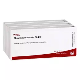MEDULLA SPINALIS tota GL D 6 Ampullen, 50X1 ml