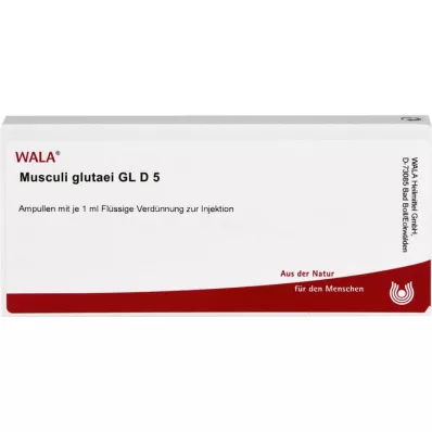 MUSCULI GLUTAEI GL D 5 ampullen, 10X1 ml