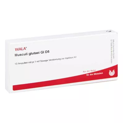 MUSCULI GLUTAEI GL D 5 ampullen, 10X1 ml MUSCULI GLUTAEI GL D 5 ampullen, 10X1 ml