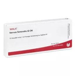 NERVUS FEMORALIS GL D 6 Ampullen, 10X1 ml