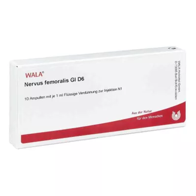 NERVUS FEMORALIS GL D 6 Ampullen, 10X1 ml NERVUS FEMORALIS GL D 6 Ampullen, 10X1 ml