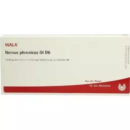 NERVUS PHRENICUS GL D 6 Ampullen, 10X1 ml