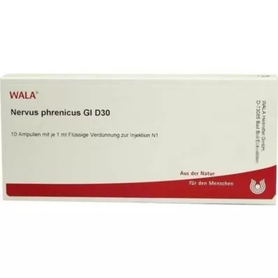 NERVUS PHRENICUS GL D 30 Ampullen, 10X1 ml NERVUS PHRENICUS GL D 30 Ampullen, 10X1 ml