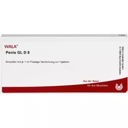 PENIS GL D 8 Ampullen, 10X1 ml