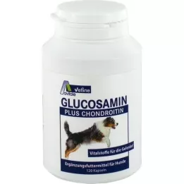 GLUCOSAMIN+CHONDROITIN Capsules voor honden, 120 stuks