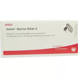 ISCUCIN quercuszetmeel A ampullen, 10X1 ml