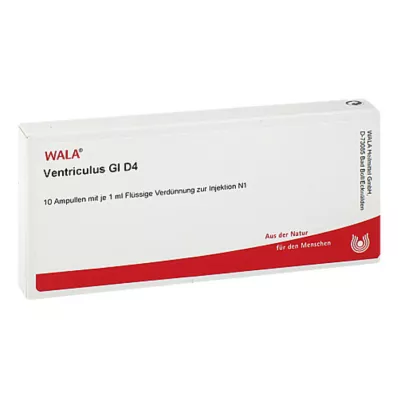 VENTRICULUS GL D 4 Ampullen, 10X1 ml VENTRICULUS GL D 4 Ampullen, 10X1 ml