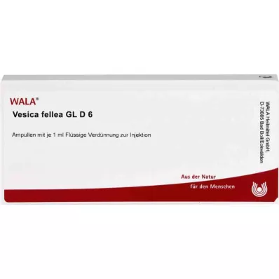 VESICA FELLEA GL D 6 Ampullen, 10X1 ml VESICA FELLEA GL D 6 Ampullen, 10X1 ml
