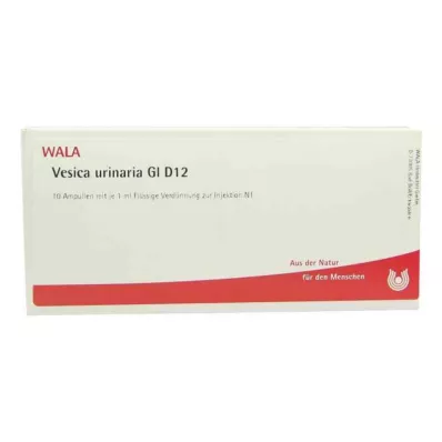 VESICA URINARIA GL D 12 Ampullen, 10X1 ml VESICA URINARIA GL D 12 Ampullen, 10X1 ml