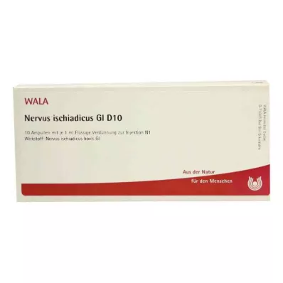 NERVUS ISCHIADICUS GL D 10 ampullen, 10X1 ml