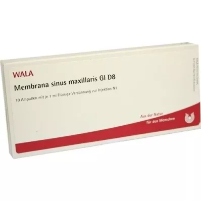 MEMBRANA sinus maxillaris GL D 8 ampullen, 10X1 ml