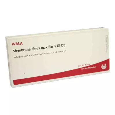 MEMBRANA sinus maxillaris GL D 8 ampullen, 10X1 ml