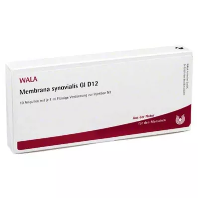 MEMBRANA synovialis GL D 12 ampullen, 10X1 ml