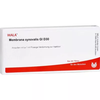 MEMBRANA synovialis GL D 30 ampullen, 10X1 ml
