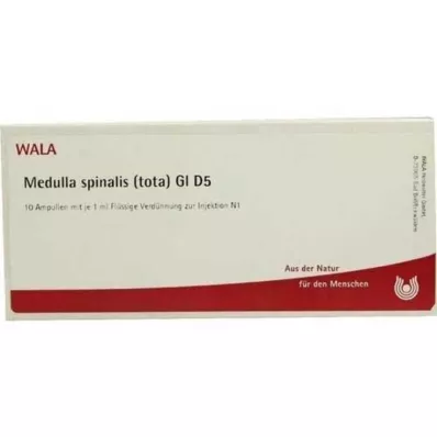 MEDULLA SPINALIS tota GL D 5 ampullen, 10X1 ml MEDULLA SPINALIS tota GL D 5 ampullen, 10X1 ml