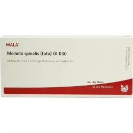 MEDULLA SPINALIS tota GL D 30 ampullen, 10X1 ml