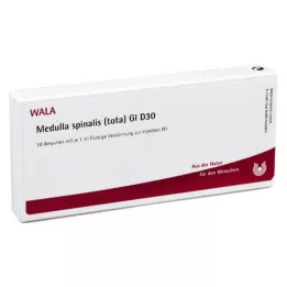 Medulla Spinalis Tota GL D 30 ampullen, 10X1 ml
