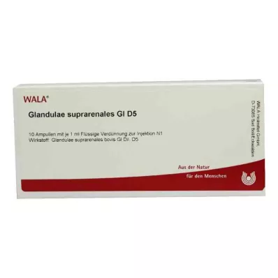GLANDULAE SUPRARENALES GL D 5 ampullen, 10X1 ml GLANDULAE SUPRARENALES GL D 5 ampullen, 10X1 ml