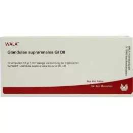 Glandulae suprarenalis GL D 8 ampullen, 10X1 ml