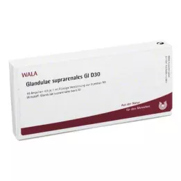 Glandulae suprarenalis GL D 30 ampullen, 10X1 ml