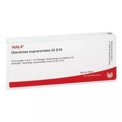 GLANDULAE SUPRARENALES GL D 10 ampullen, 10X1 ml GLANDULAE SUPRARENALES GL D 10 ampullen, 10X1 ml