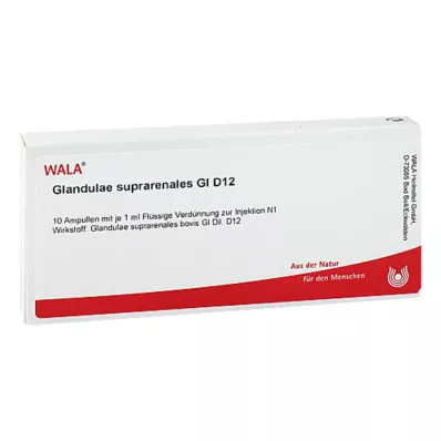 GLANDULAE SUPRARENALES GL D 12 Ampullen, 10X1 ml GLANDULAE SUPRARENALES GL D 12 Ampullen, 10X1 ml