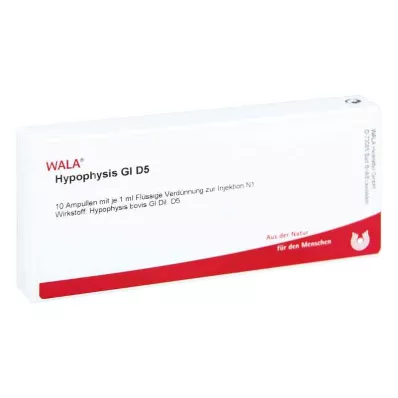 HYPOPHYSIS GL D 5 ampullen, 10X1 ml HYPOPHYSIS GL D 5 ampullen, 10X1 ml