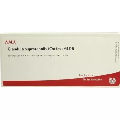 GLANDULA SUPRARENALIS cortex GL D 8 ampullen, 10X1 ml