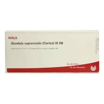 GLANDULA SUPRARENALIS cortex GL D 8 ampullen, 10X1 ml GLANDULA SUPRARENALIS cortex GL D 8 ampullen, 10X1 ml