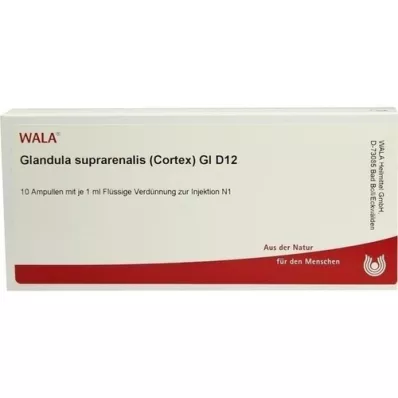 GLANDULA SUPRARENALES cortex GL D 12 ampullen, 10X1 ml