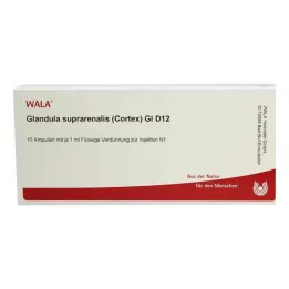 Suprarenale klier.Cort.Gl D12 ampullen (10x1 ml)