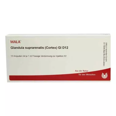 GLANDULA SUPRARENALES cortex GL D 12 ampullen, 10X1 ml
