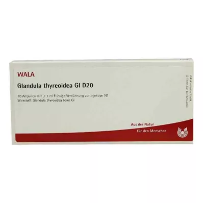 GLANDULA THYREOIDEA GL D 20 Ampullen, 10X1 ml