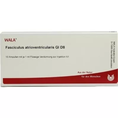 FASCICULUS atrioventricularis GL D 8 ampullen, 10X1 ml