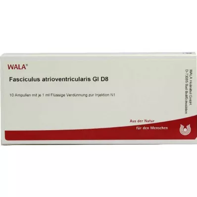 FASCICULUS atrioventricularis GL D 8 ampullen, 10X1 ml