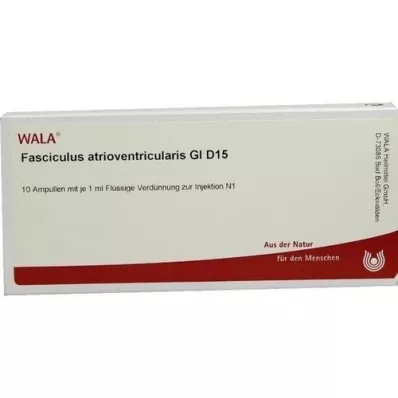 FASCICULUS atrioventricularis GL D 15 ampullen, 10X1 ml