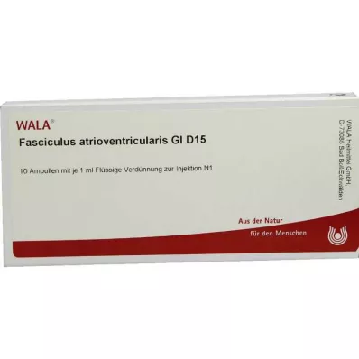 FASCICULUS atrioventricularis GL D 15 ampullen, 10X1 ml FASCICULUS atrioventricularis GL D 15 ampullen, 10X1 ml