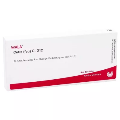 CUTIS foeti GL D 12 ampullen, 10X1 ml CUTIS foeti GL D 12 ampullen, 10X1 ml