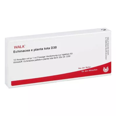 ECHINACEA E planta tota D 30 Ampullen, 10X1 ml ECHINACEA E planta tota D 30 Ampullen, 10X1 ml