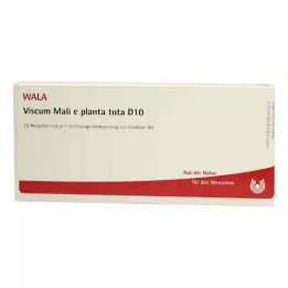 Viscum Mali e planta tota D10 ampullen (10x1 ml)