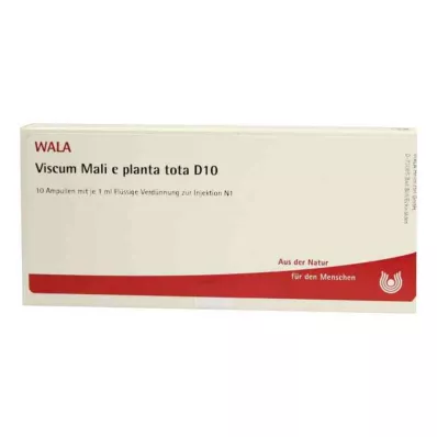 VISCUM MALI e planta tota D 10 ampullen, 10X1 ml VISCUM MALI e planta tota D 10 ampullen, 10X1 ml