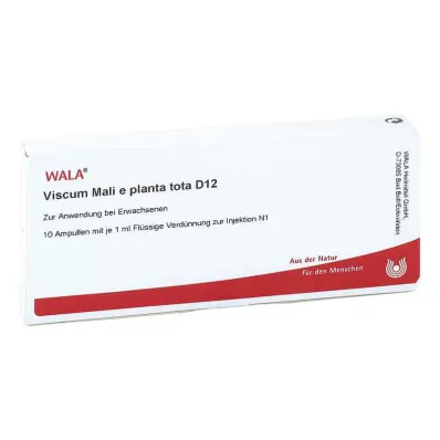 VISCUM MALI e planta tota D 12 Ampullen, 10X1 ml VISCUM MALI e planta tota D 12 Ampullen, 10X1 ml